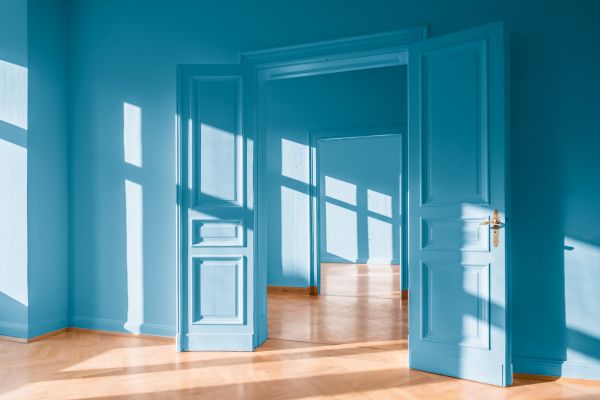 Door Restoration Service